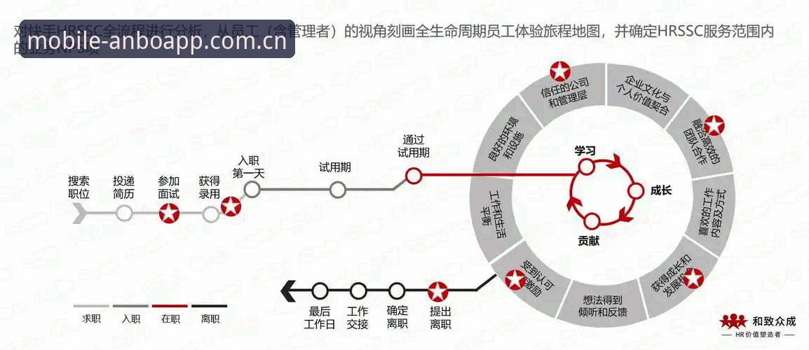 安博体育移动端对比 安博体育移动端对比详解:版本迭代与用户体验新突破